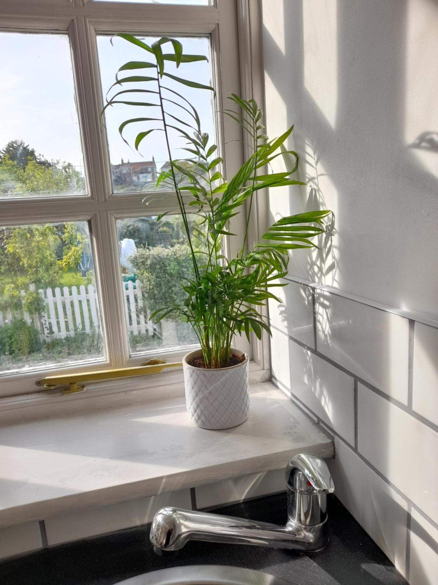 My Little Studio Farmborough Extérieur photo